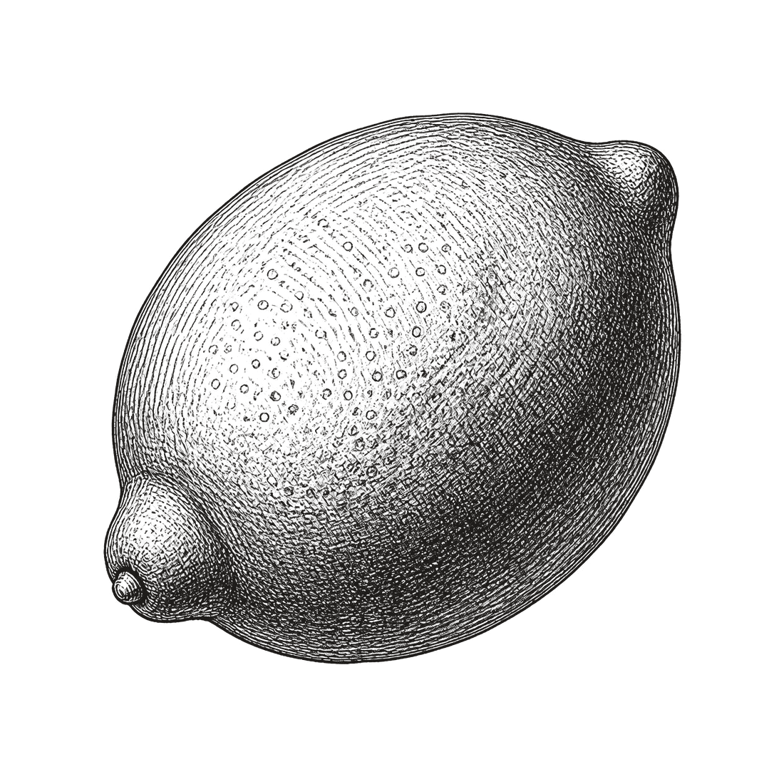 Engraved illustration of a lemon